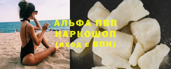jwh Карпинск