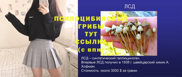 стафф Карталы